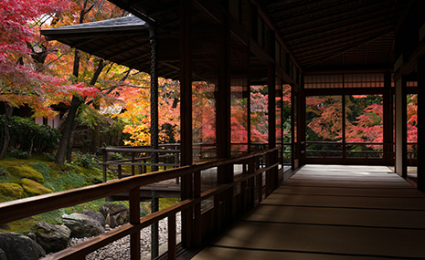 八勝館　秋景