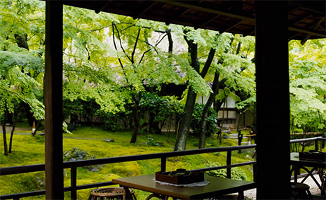 八勝館　夏景