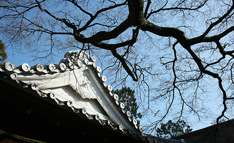 八勝館　冬景